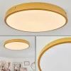 Plafonnier Broglen LED Laiton, 1 lumière