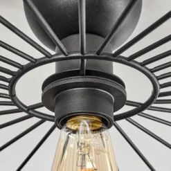 Plafonnier Cacor Noir, 1 lumière