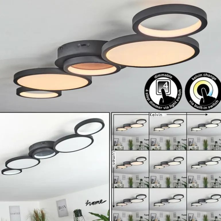 Plafonnier Carabajal LED Noir, 1 lumière