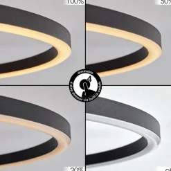 Plafonnier Cardozo LED Écru, Noir, 1 lumière