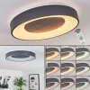 Plafonnier Casina LED Anthracite, Blanc, 1 lumière, Télécommandes