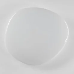 Plafonnier Esgos LED Blanc, 1 lumière, Télécommandes