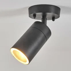 plafonnier extérieur Bessiebelle Noir, Blanc, 1 lumière