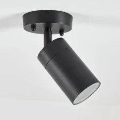 plafonnier extérieur Bessiebelle Noir, Blanc, 1 lumière