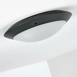 plafonnier extérieur Grafton Anthracite, 2 lumières
