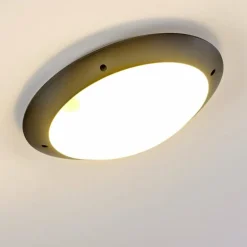 plafonnier extérieur Grafton Anthracite, 2 lumières