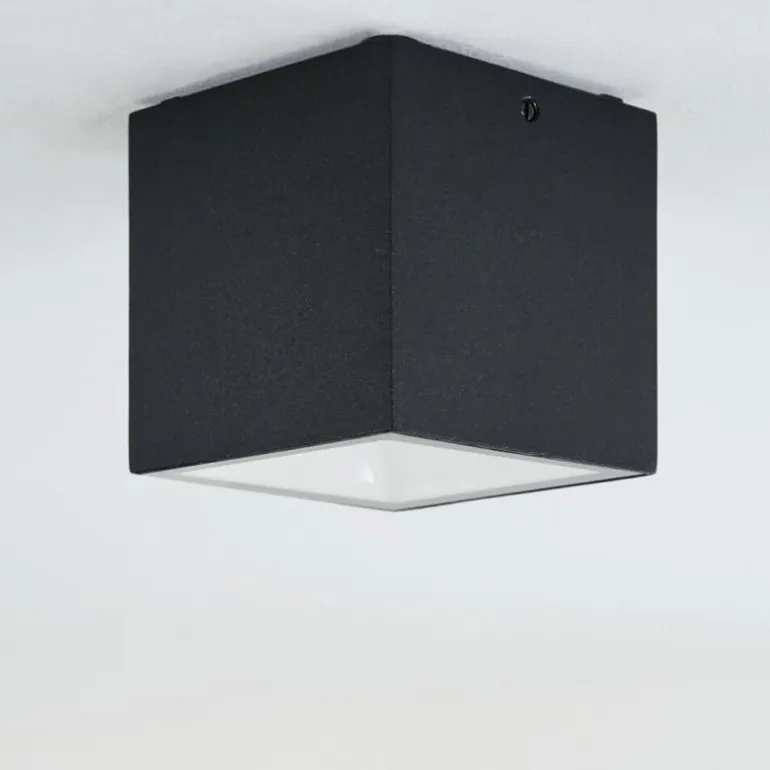 plafonnier extérieur Spidern LED Blanc, 1 lumière