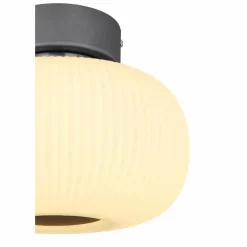 Plafonnier Globo LED Anthracite, Nickel mat, 1 lumière