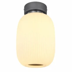 Plafonnier Globo LED Anthracite, Nickel mat, 1 lumière