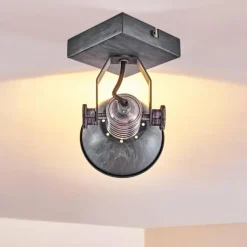 Plafonnier Gudo Gris, Argenté, 1 lumière