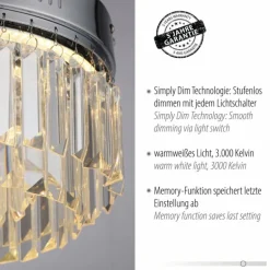 Plafonnier Paul Neuhaus KRISTA LED Chrome, 1 lumière