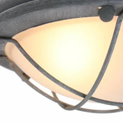 Plafonnier Steinhauer Mexlite Gris, 1 lumière
