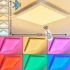 Plafonnier Voisines LED Blanc, 1 lumière, Télécommandes, Changeur de couleurs