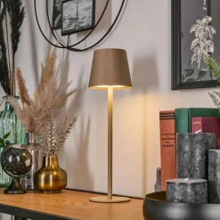 Salgadinho Lampe à poser LED Beige, 1 lumière