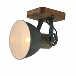 Spot Steinhauer GEARWOOD Gris, 1 lumière