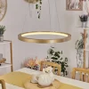 Suspension Charata LED Laiton, 1 lumière