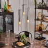 Suspension Caimitte Clair, Fumé, 3 lumières