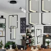Suspension Chlak LED Noir, 2 lumières, Télécommandes