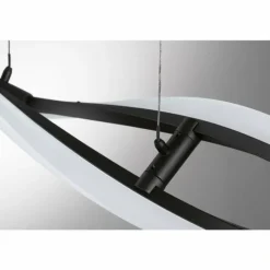 Suspension Fischer & Honsel Torcido LED Noir, 1 lumière, Télécommandes