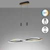 Suspension Fischer & Honsel Torcido LED Noir, 1 lumière, Télécommandes