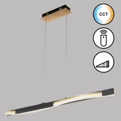 Suspension Fischer & Honsel Bridge LED Noir, 1 lumière, Télécommandes