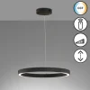 Suspension Fischer & Honsel Sirko LED Noir, 1 lumière, Télécommandes