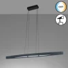 Suspension Fischer & Honsel Fenga LED Noir, 1 lumière