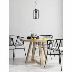 Suspension Lucide FERN Noir, 1 lumière