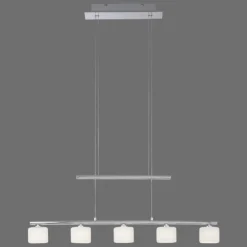 Suspension Paul Neuhaus HYDRA LED Acier brossé, 5 lumières