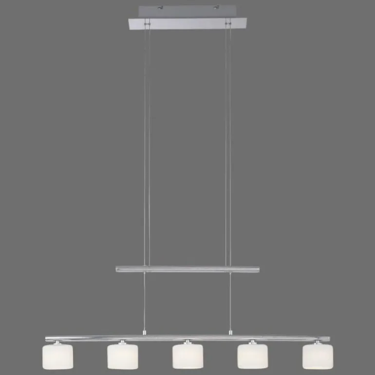Suspension Paul Neuhaus HYDRA LED Acier brossé, 5 lumières