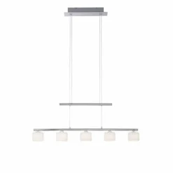 Suspension Paul Neuhaus HYDRA LED Acier brossé, 5 lumières