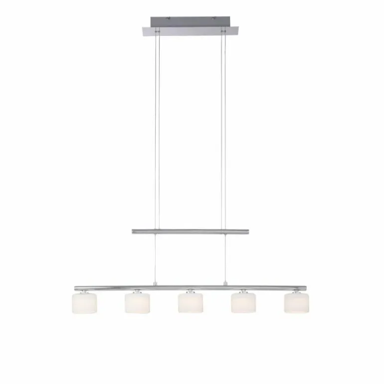 Suspension Paul Neuhaus HYDRA LED Acier brossé, 5 lumières