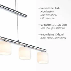 Suspension Paul Neuhaus HYDRA LED Acier brossé, 5 lumières