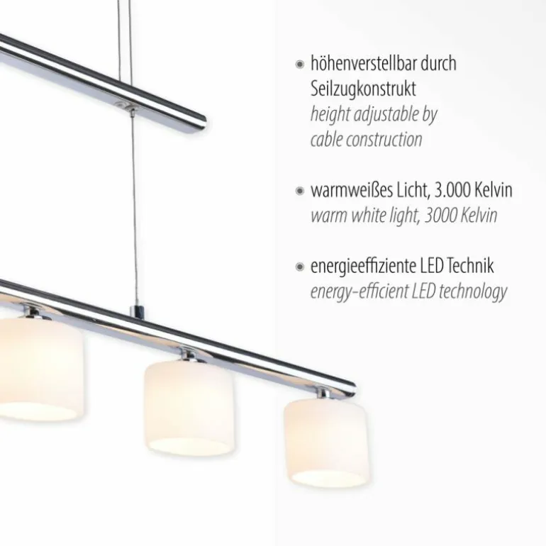 Suspension Paul Neuhaus HYDRA LED Acier brossé, 5 lumières
