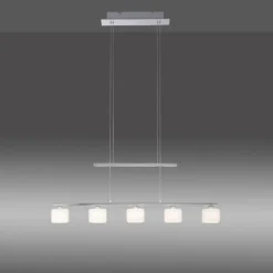 Suspension Paul Neuhaus HYDRA LED Acier brossé, 5 lumières