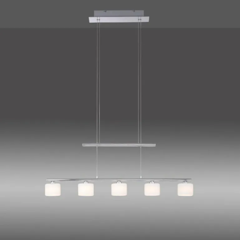 Suspension Paul Neuhaus HYDRA LED Acier brossé, 5 lumières