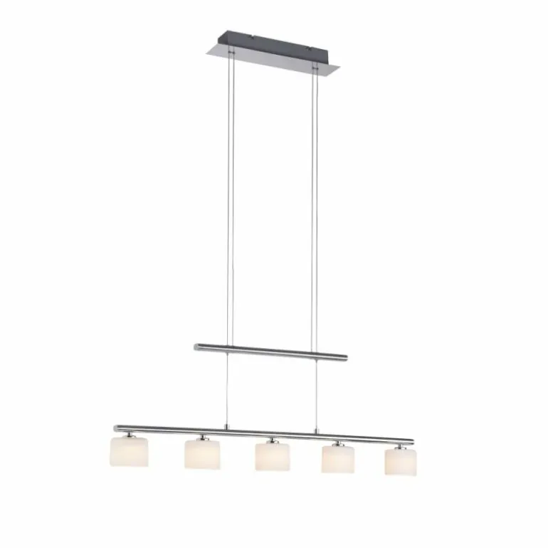 Suspension Paul Neuhaus HYDRA LED Acier brossé, 5 lumières