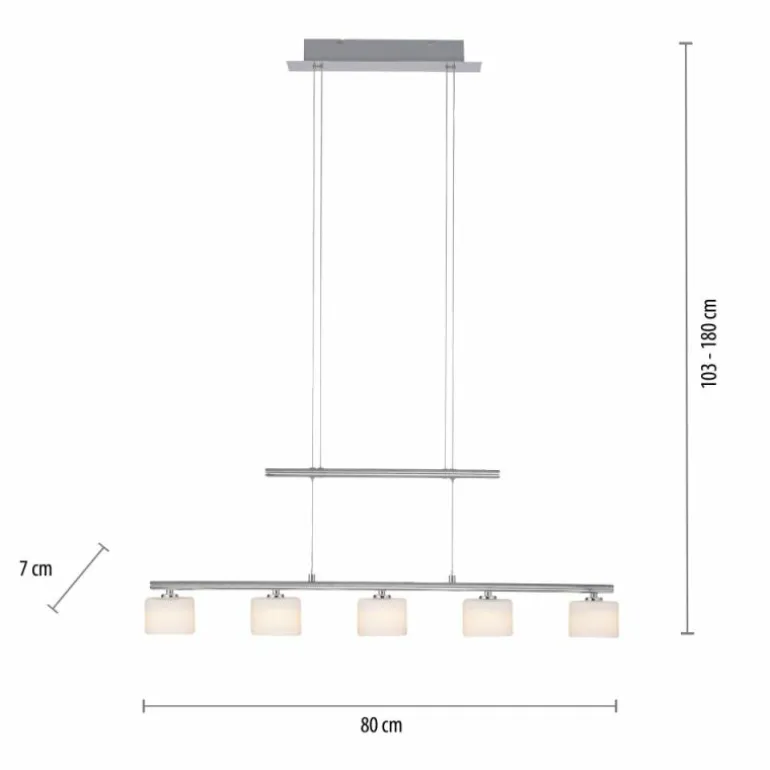 Suspension Paul Neuhaus HYDRA LED Acier brossé, 5 lumières