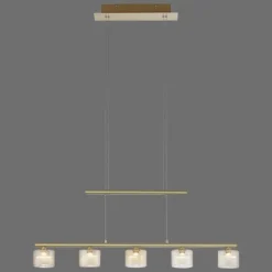 Suspension Paul Neuhaus HYDRA LED Laiton, 5 lumières