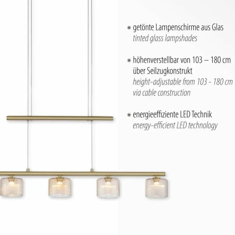 Suspension Paul Neuhaus HYDRA LED Laiton, 5 lumières