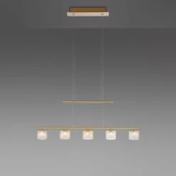 Suspension Paul Neuhaus HYDRA LED Laiton, 5 lumières