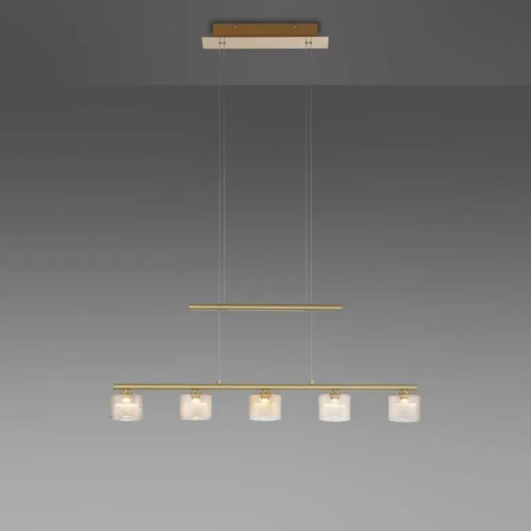 Suspension Paul Neuhaus HYDRA LED Laiton, 5 lumières