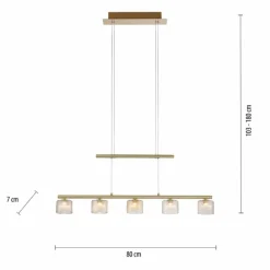 Suspension Paul Neuhaus HYDRA LED Laiton, 5 lumières