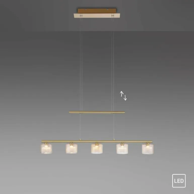 Suspension Paul Neuhaus HYDRA LED Laiton, 5 lumières