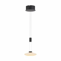 Suspension Paul Neuhaus LAUTADA LED Noir, 1 lumière