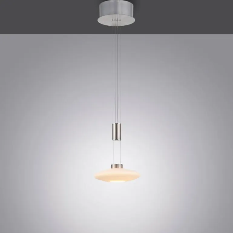 Suspension Paul Neuhaus LAUTADA LED Acier brossé, 1 lumière