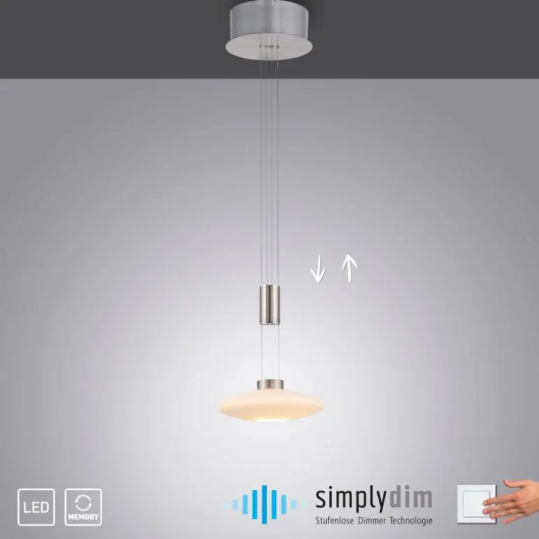 Suspension Paul Neuhaus LAUTADA LED Acier brossé, 1 lumière