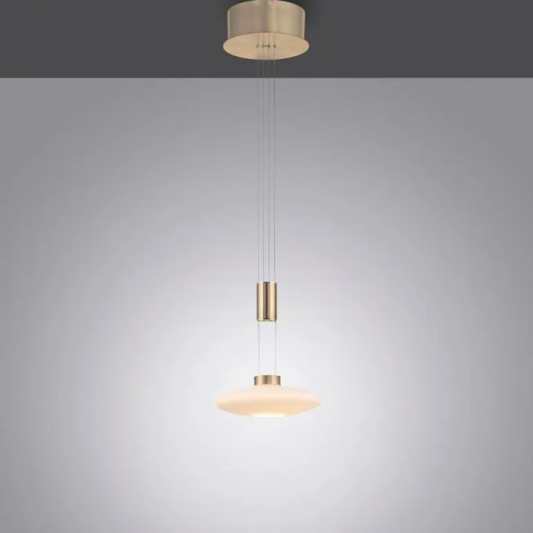 Suspension Paul Neuhaus LAUTADA LED Laiton, 1 lumière