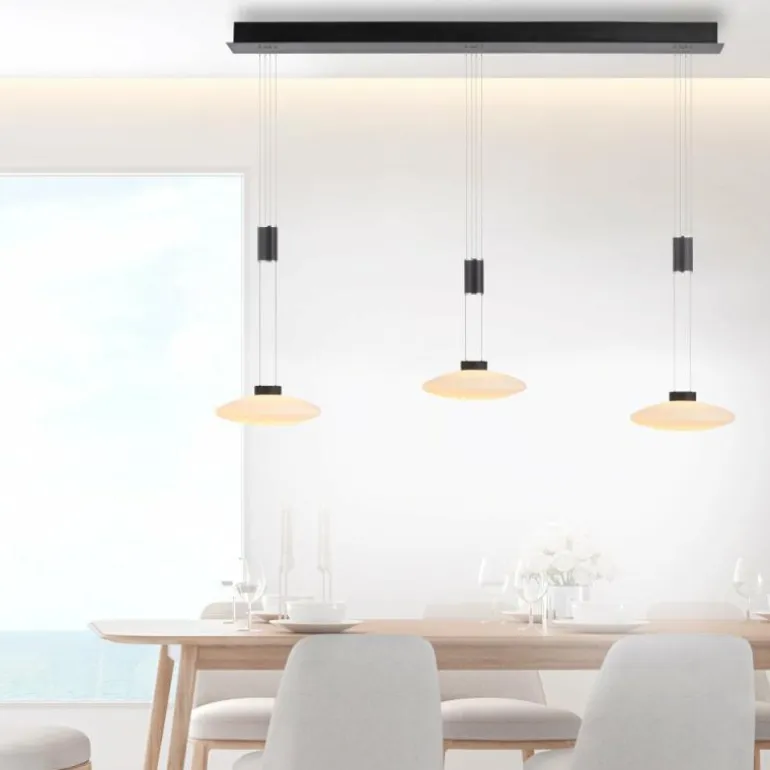 Suspension Paul Neuhaus LAUTADA LED Noir, 3 lumières