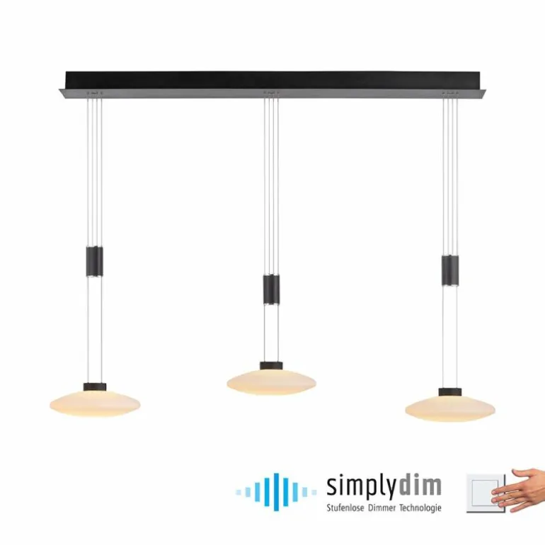 Suspension Paul Neuhaus LAUTADA LED Noir, 3 lumières